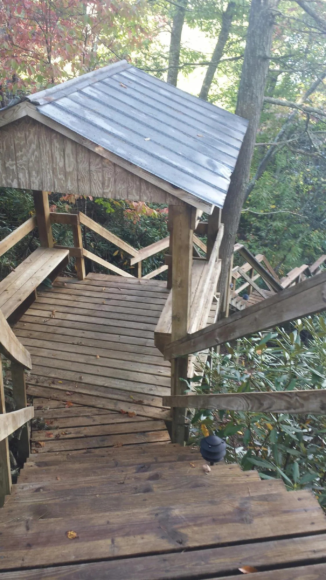 Metal roofed shelter over wooden steps on a wooded walkway — Skylight Repair & Installation work by our crew in Benge